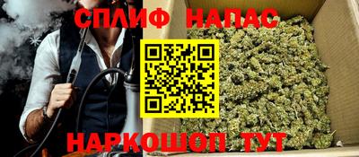 прущие грибы Канаш