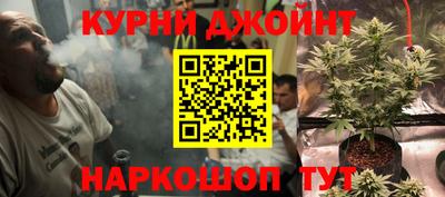 дурь Камышлов