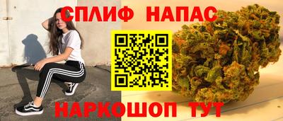 дурь Камышлов
